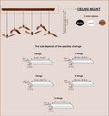 Infographic detailing wing type dimensions and color options for bird pendant lights